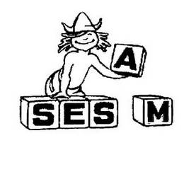 SESAM logo