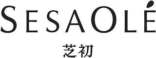SESAOLÉ logo