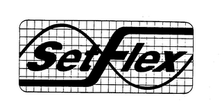 SETFLEX logo