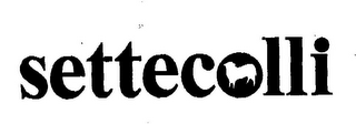 SETTECOLLI logo