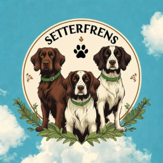 SETTERFRENS logo