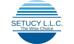 SETUCY L.L.C. THE WISE CHOICE logo