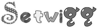 SETWIGG logo