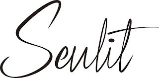 SEULIT logo
