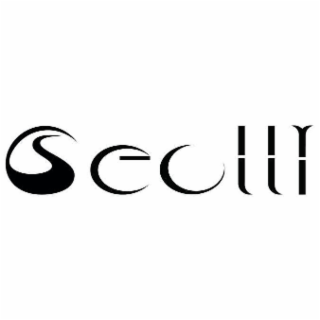 SEULLY logo