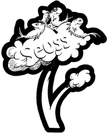 SEUSS logo