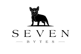 SEVEN BYTES logo