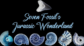 SEVEN FOSSIL'S JURASSIC WONDERLAND logo
