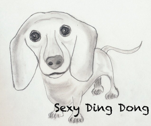 SEXY DING DONG logo