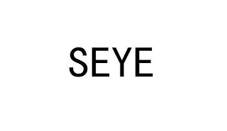 SEYE logo