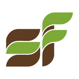 SF logo