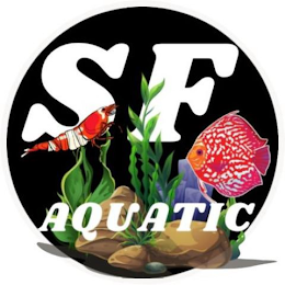 SF AQUATIC logo