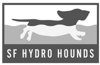 SF HYDRO HOUNDS logo