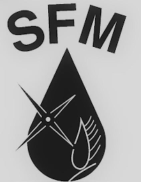 SFM logo