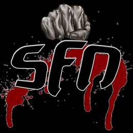 SFN logo