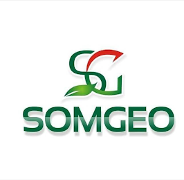 SG SOMGEO logo