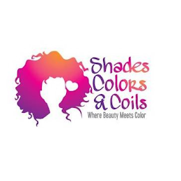SHADES COLORS & COILS WHERE BEAUTY MEETS COLOR logo