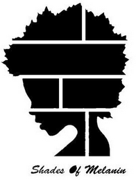 SHADES OF MELANIN logo