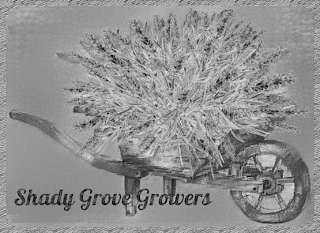 SHADY GROVE GROWERS logo
