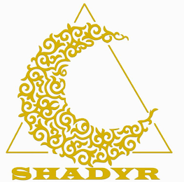 SHADYR logo