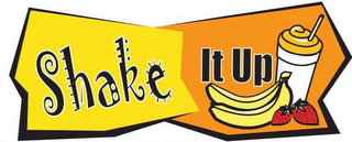 SHAKE IT UP logo