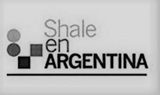 SHALE EN ARGENTINA logo