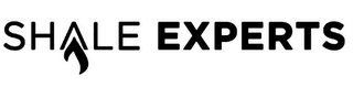 SHALE EXPERTS logo