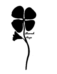 SHAMROCK MAGIC logo