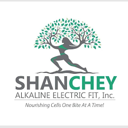 SHANCHEY ALKALINE ELECTRIC FIT, INC. NOURISHING CELLS ONE BITE AT A TIME logo