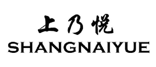 SHANGNAIYUE logo