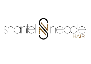 SHANTEL NECOLE HAIR SN logo
