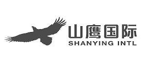 SHANYING INTL logo