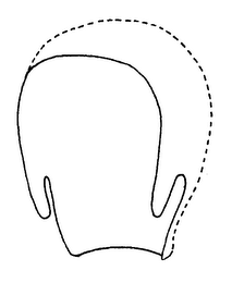 SHAPE OF CRANIAL ORTHOSIS BAND logo