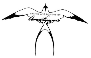 SHAPES AND DESIGNS BY DONALD TAKAYAMA logo