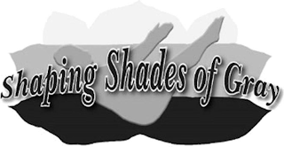SHAPING SHADES OF GRAY logo