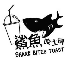 SHARK BITES TOAST logo