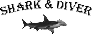 SHARK & DIVER logo