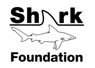 SHARK FOUNDATION