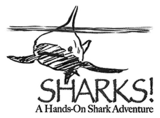 SHARKS! A HANDS-ON SHARK ADVENTURE logo