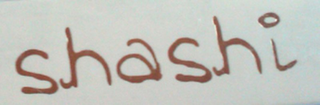 SHASHI logo