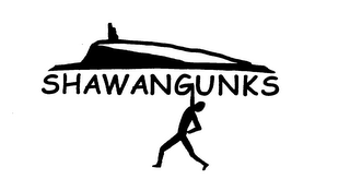 SHAWANGUNKS logo