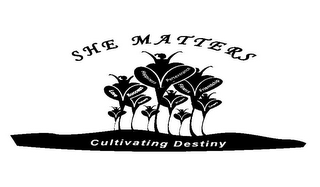 SHE MATTERS LOVE SUCCESS HONESTY HAPPINESS PERSEVERANCE WISDOM FITNESS FRIENDSHIP CAREERS CULTIVATING DESTINY logo
