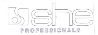 SHE PROFESSIONALS logo