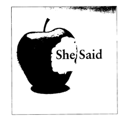 SHE SAID logo