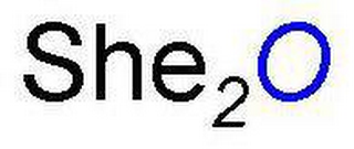 SHE2O logo