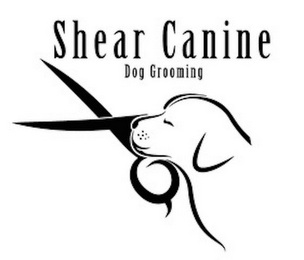 SHEAR CANINE DOG GROOMING logo