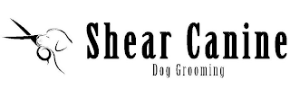 SHEAR CANINE DOG GROOMING logo