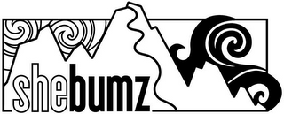 SHEBUMZ logo