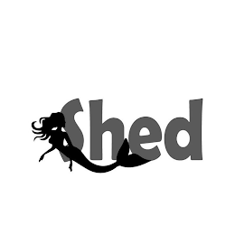 SHED logo
