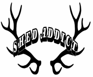 SHED ADDICT logo